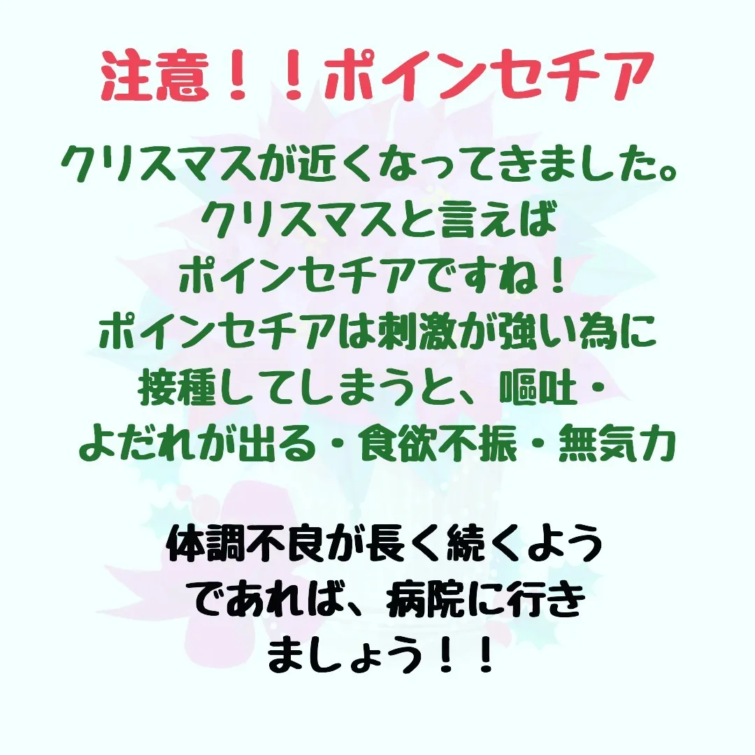 こんにちは、サンペ動物病院です！