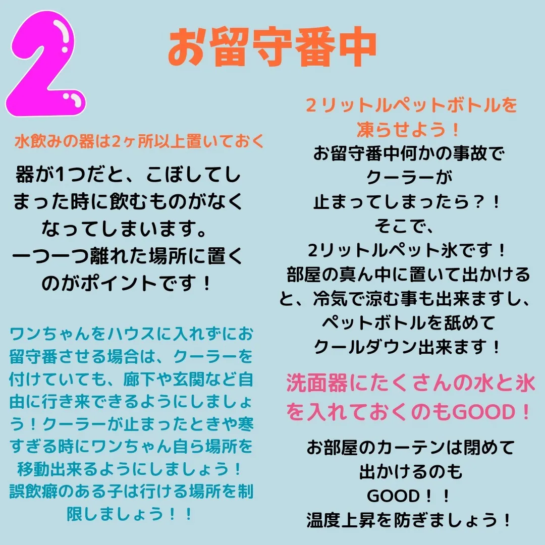 愛犬のための熱中症対策！！！