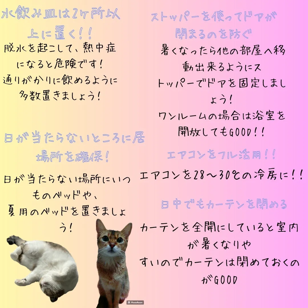 猫も熱中症になる！！